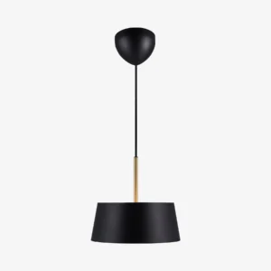 Lampa wisząca Nordlux Clasi 30 Czarny