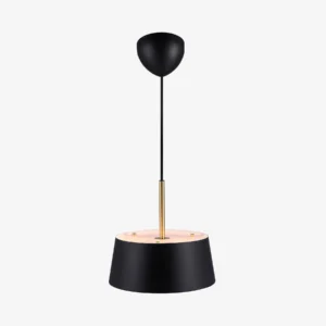 Lampa wisząca Nordlux Clasi 30 Czarny